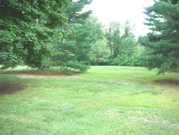 115 Moore Road Sudbury, MA 01776 - Photo 12 of 12 a view of a field with a trees in the background