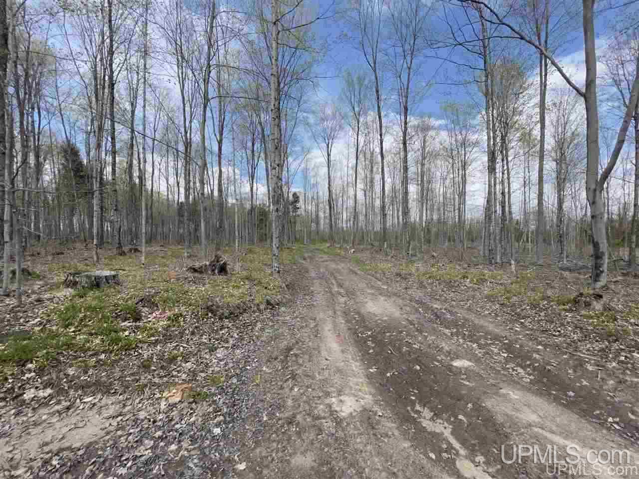 Tbd Tbd Truax Road, Unit 1 Cornell, MI 49818 - Photo 39 of 43
