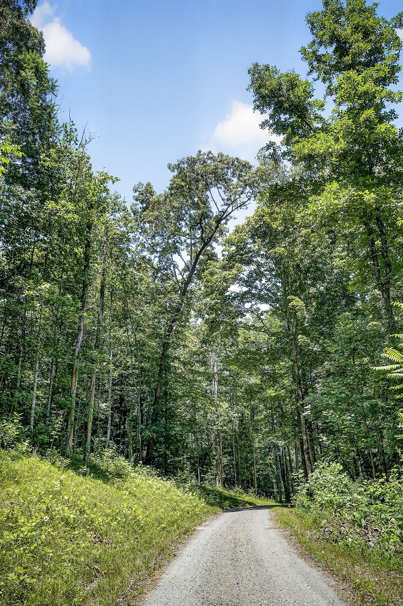359 Allen Sells Lane Alpine, TN 38543 - Photo 31 of 71