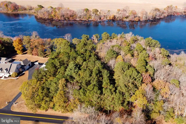 $325,000 | Lot 4 Reynolds Pond Road, Ellendale, DE 19941