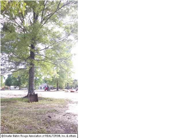 33882 Clinton Allen Road Denham Springs, LA 70706 - Photo 2 of 2 Gallery Image 2