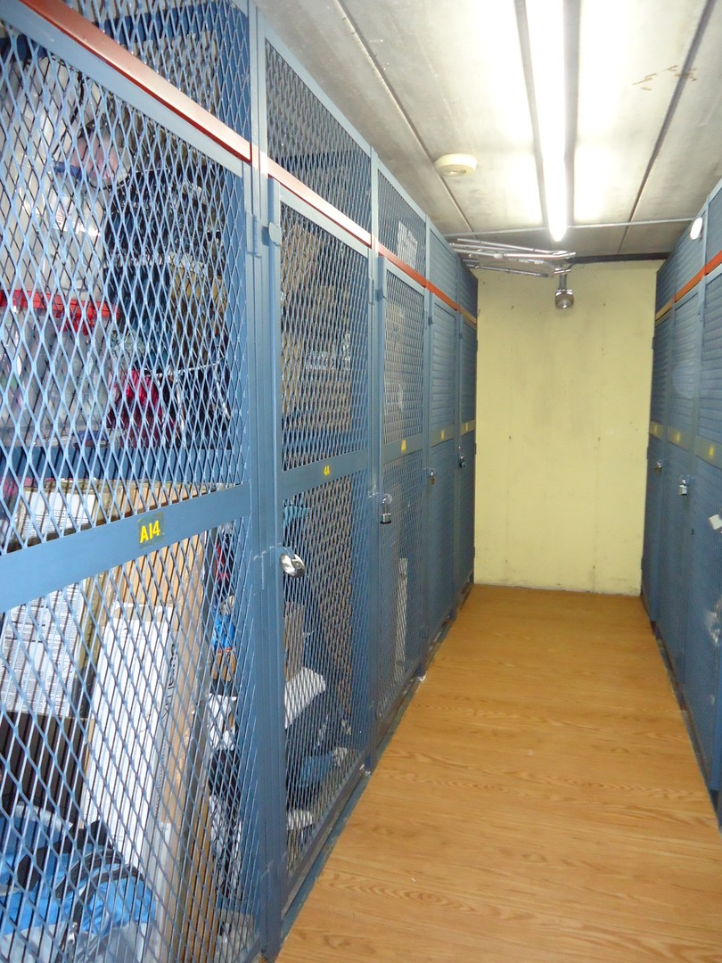 2818 Dundee Road, Unit 11A Northbrook, IL 60062 - Photo 13 of 14