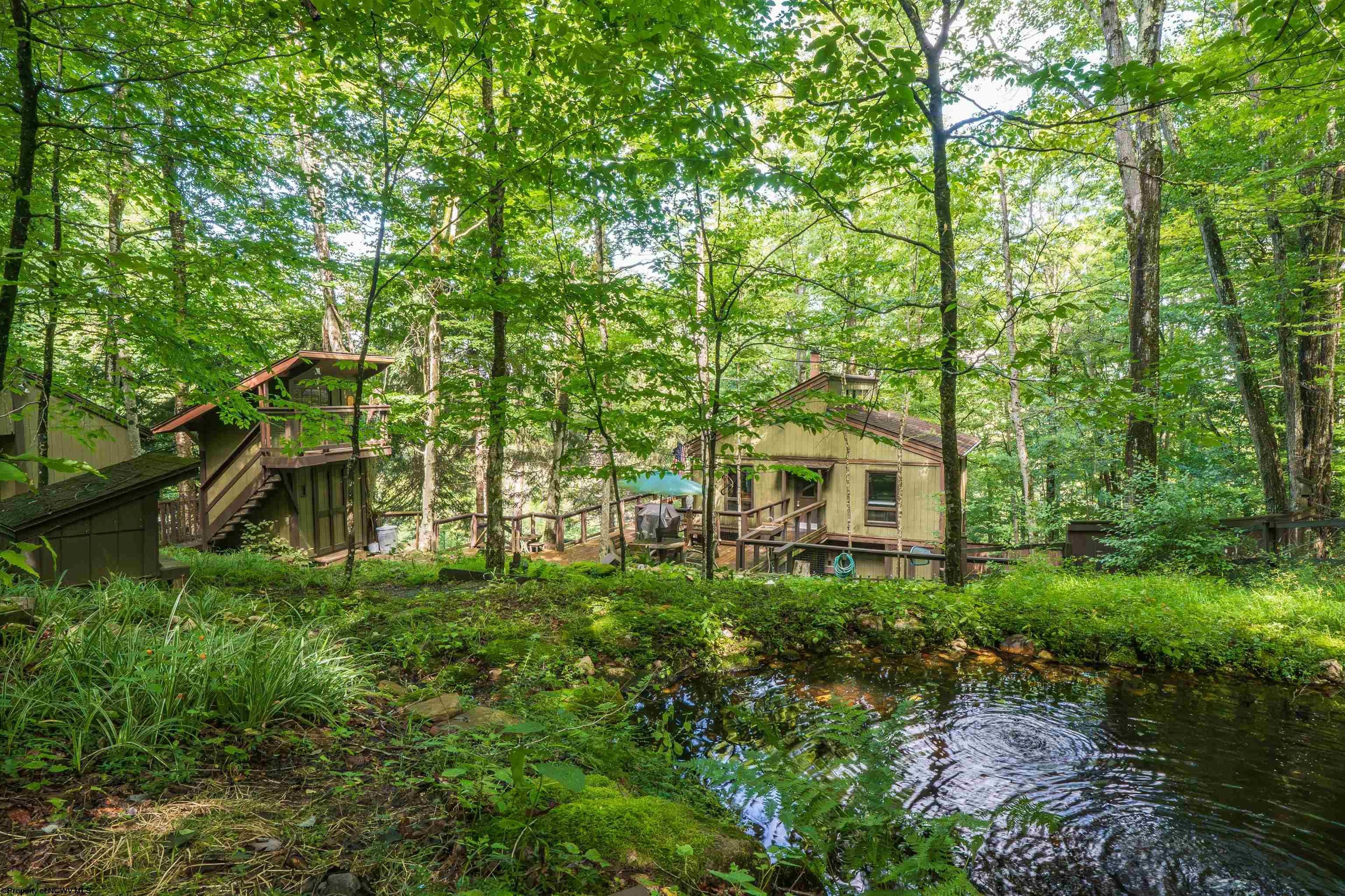 270 Sand Run Road Davis, WV 26260 - Photo 7 of 35 Gallery Image 7