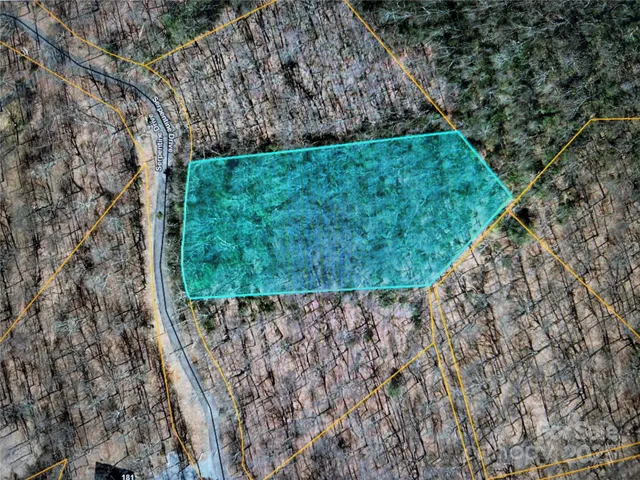 a view of a back yard