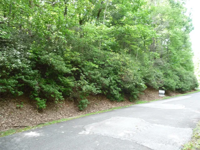 a view of a yard with plants and trees