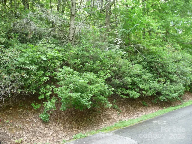 a view of a yard with plants and wooden fence