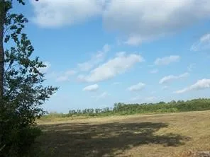 a view of an ocean and beach