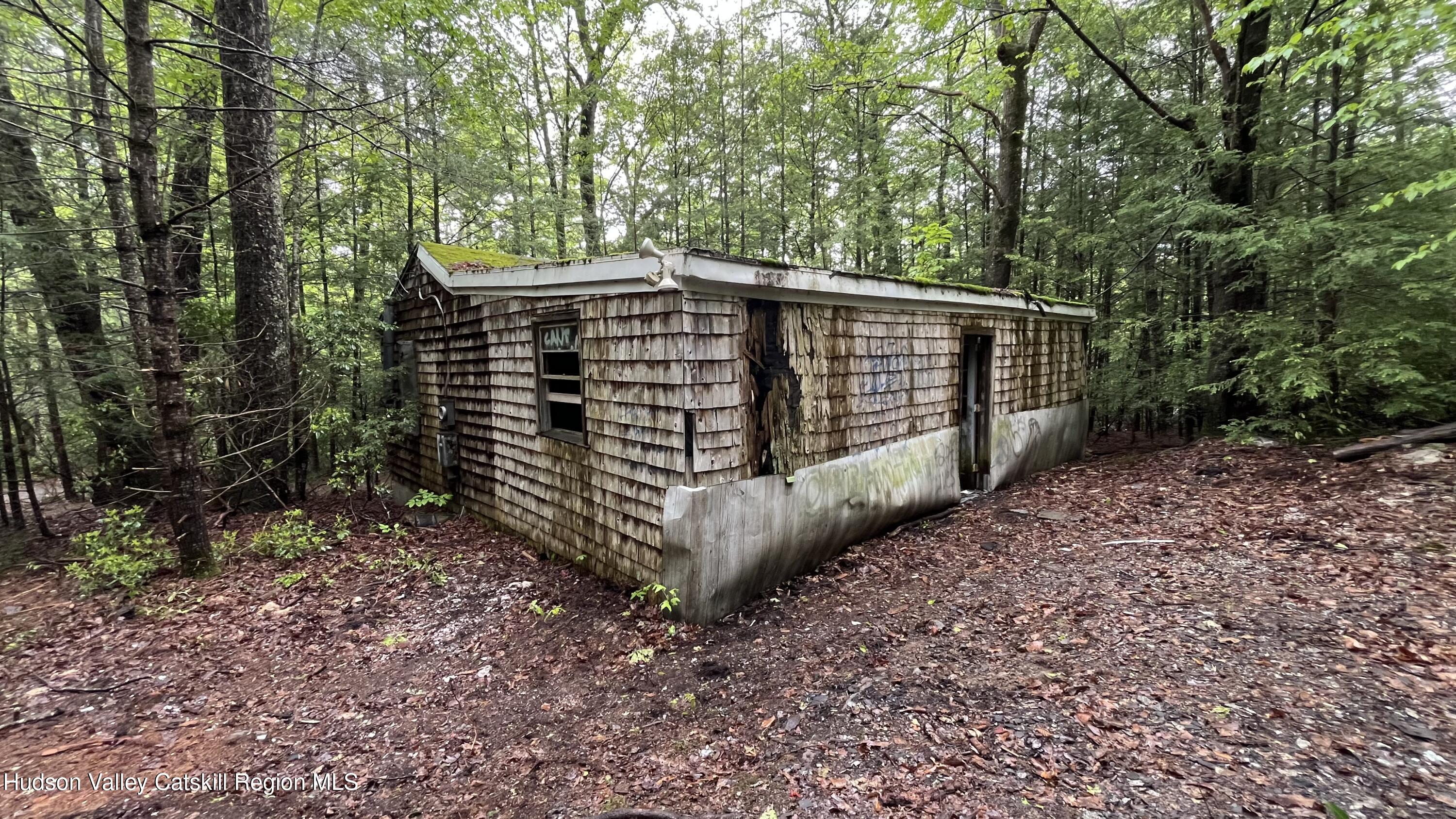 14 Saw Pitt Road Kerhonkson, NY 12446 - Photo 3 of 9 a view of plants and trees