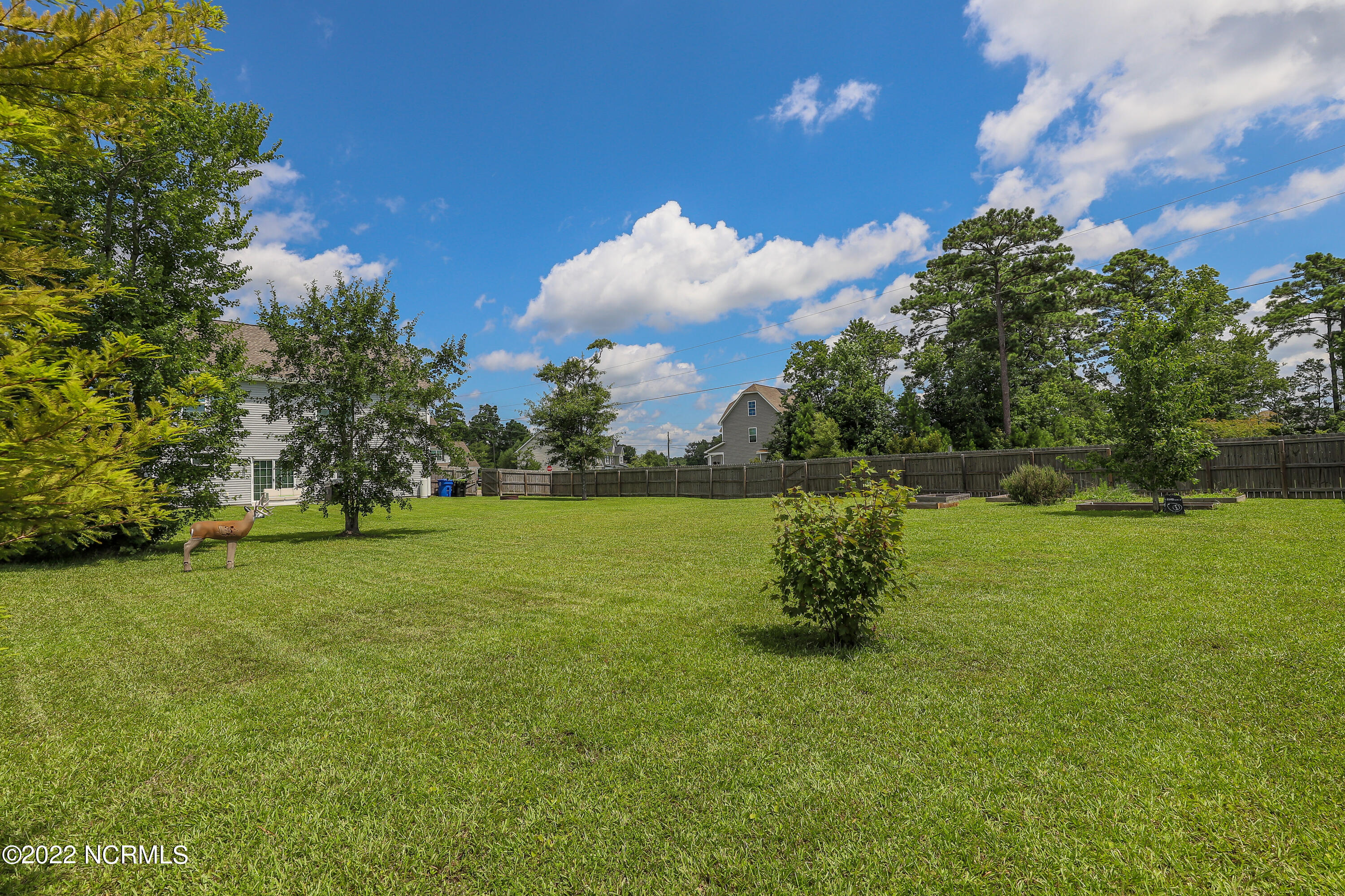 159 Mardella Way Holly Ridge, NC 28445 - Photo 52 of 60 159 Mardella Way - Tiffany & Crew-69