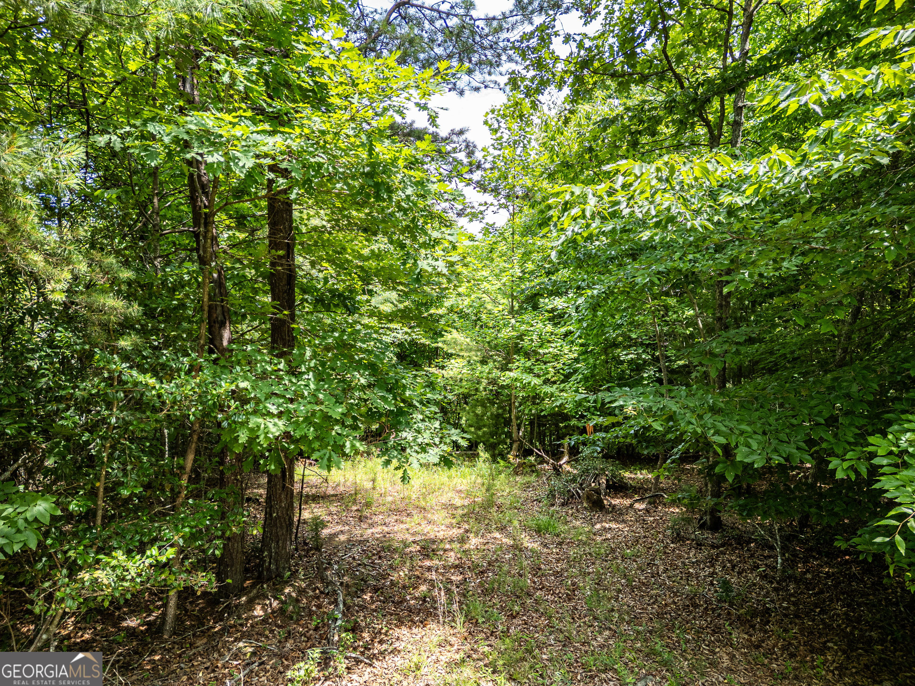 2 Stormy Ridge Brasstown, NC 28902 - Photo 7 of 16