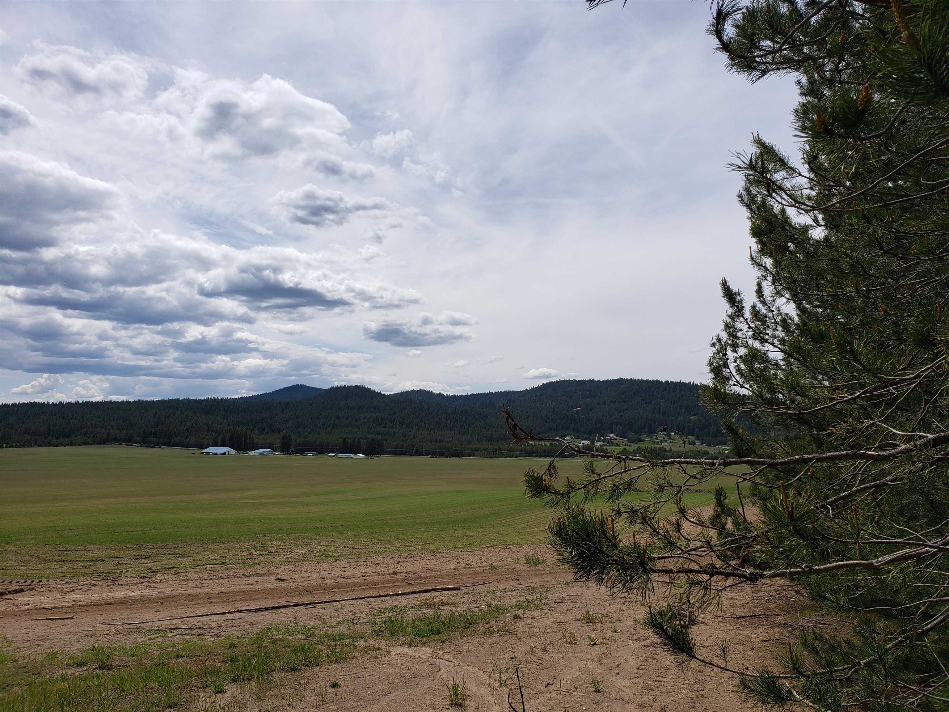 Lot T Spring Valley Road Newport, WA 99156 - Photo 1 of 8 Gallery Image 1