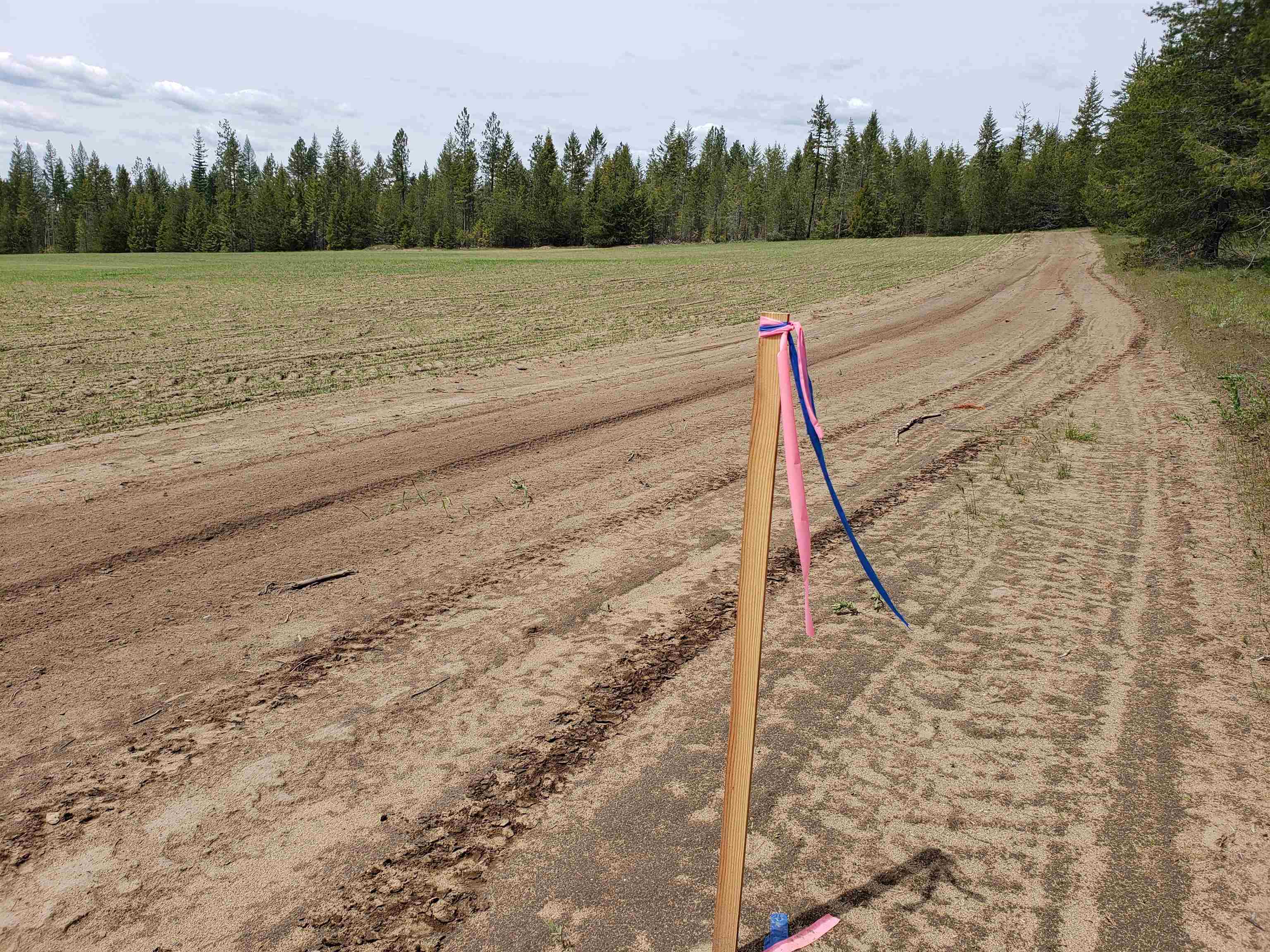 Lot T Spring Valley Road Newport, WA 99156 - Photo 3 of 8 Gallery Image 3