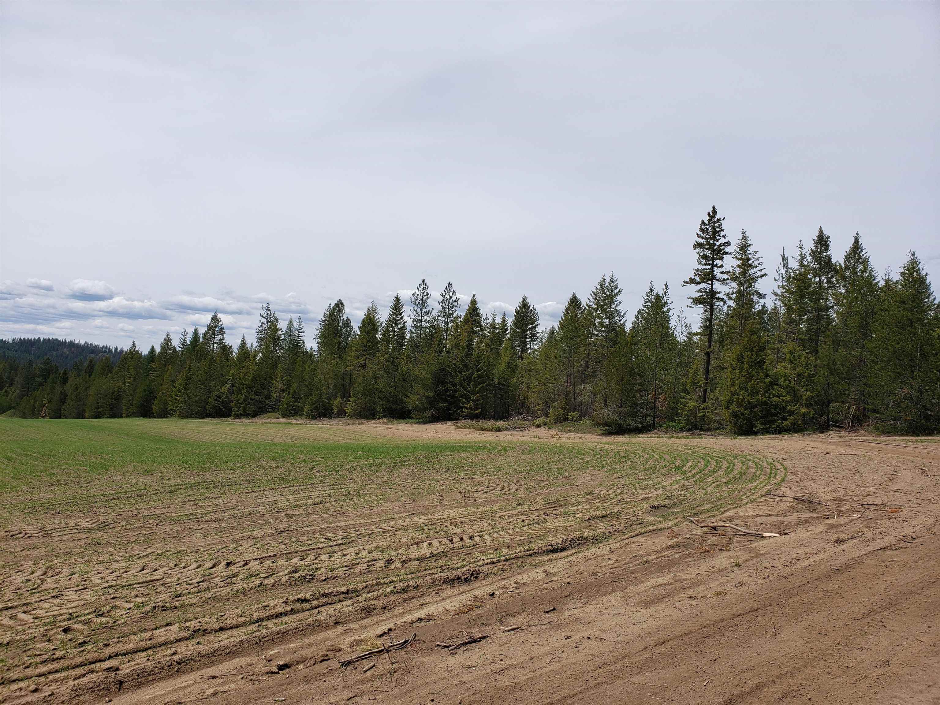 Lot T Spring Valley Road Newport, WA 99156 - Photo 4 of 8 Gallery Image 4