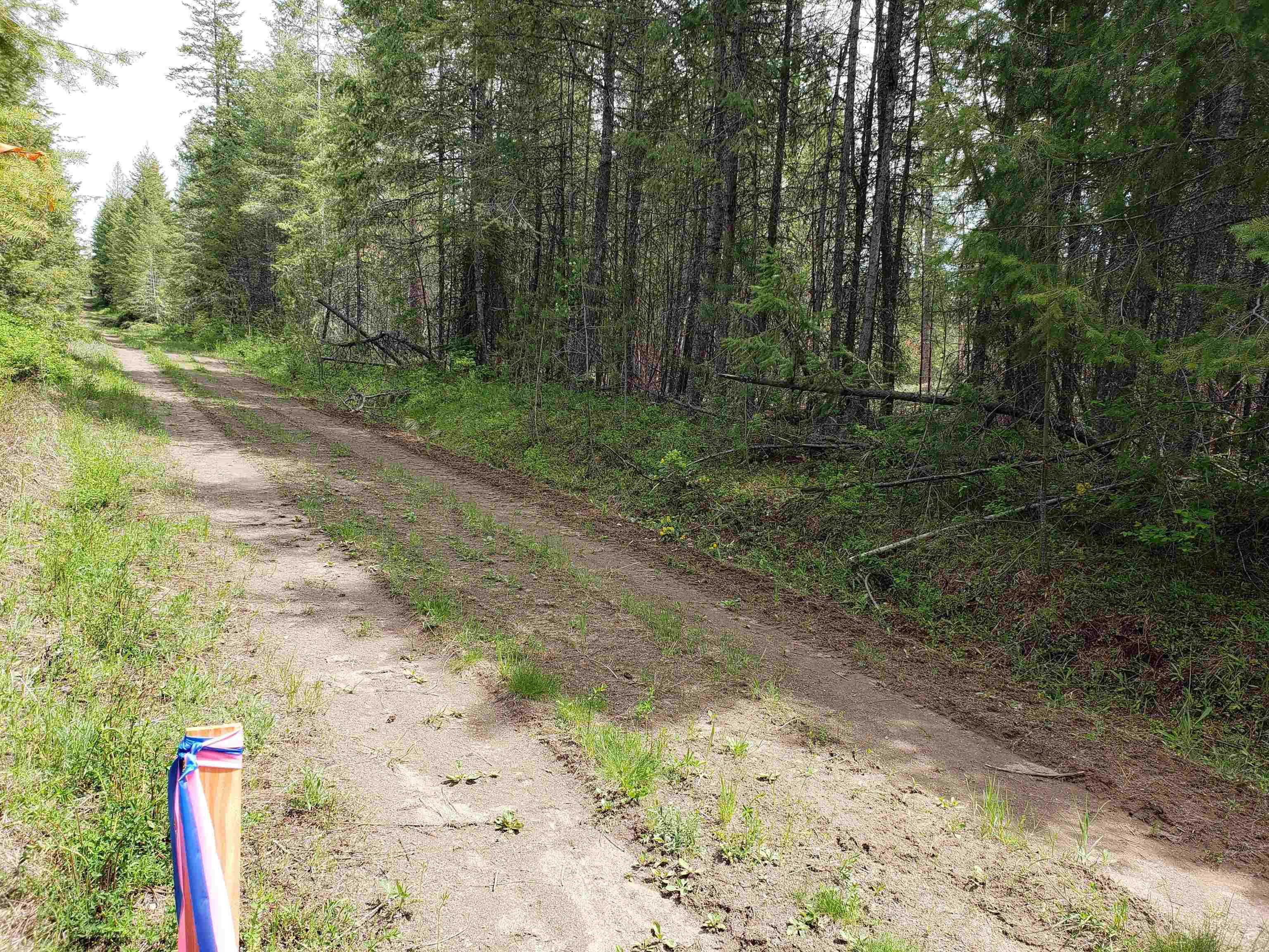 Lot T Spring Valley Road Newport, WA 99156 - Photo 7 of 8 Gallery Image 7