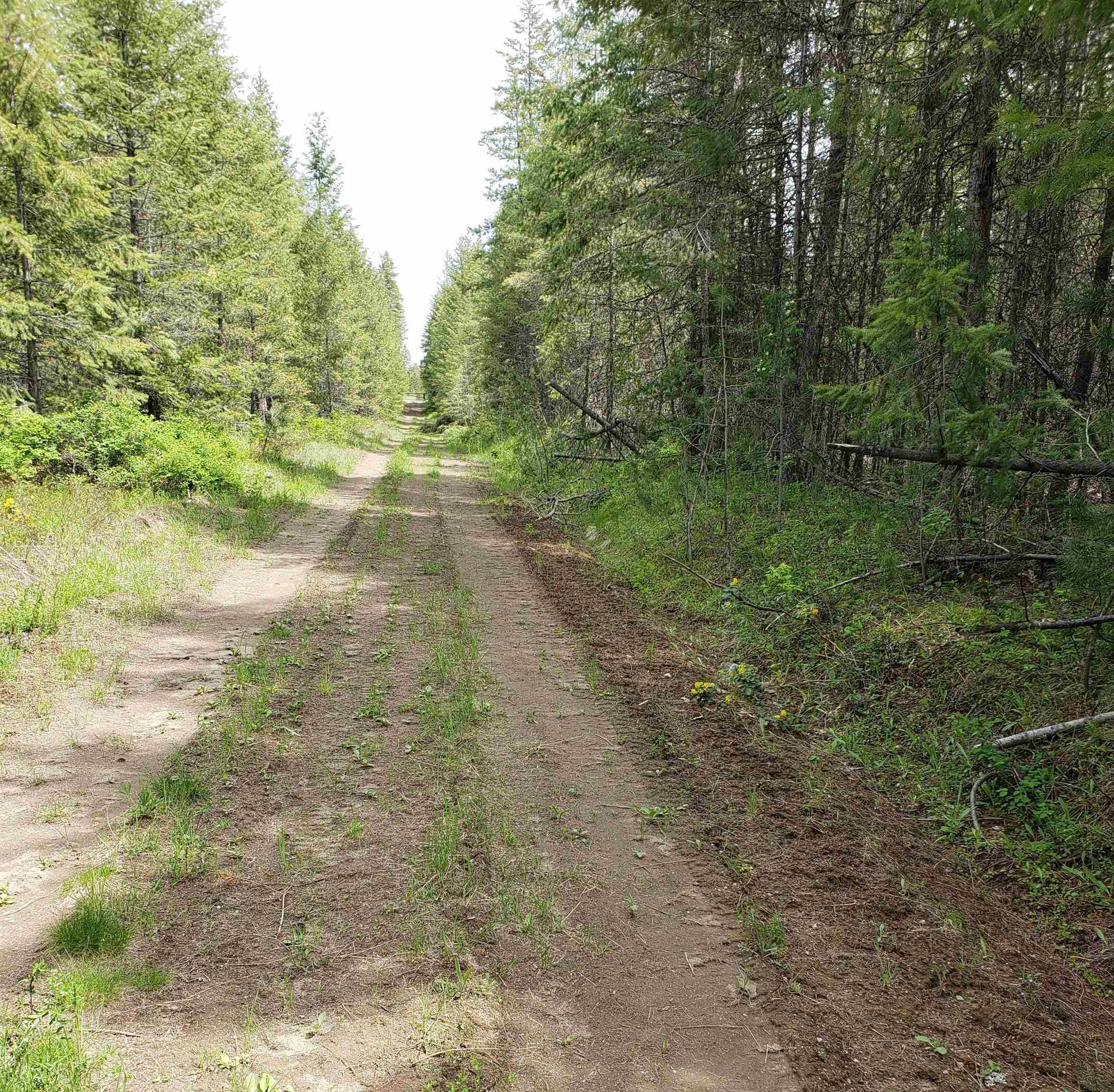 Lot T Spring Valley Road Newport, WA 99156 - Photo 8 of 8 Gallery Image 8