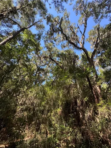 $18,500 | Lot 20-21 Riverside Drive, Darien, GA 31305