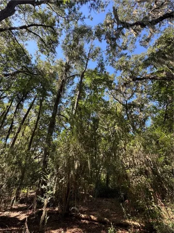 $18,500 | Lot 20-21 Riverside Drive, Darien, GA 31305