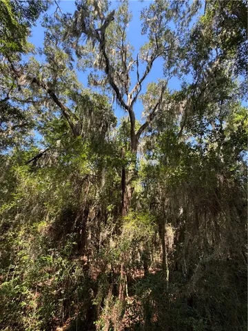 $18,500 | Lot 20-21 Riverside Drive, Darien, GA 31305