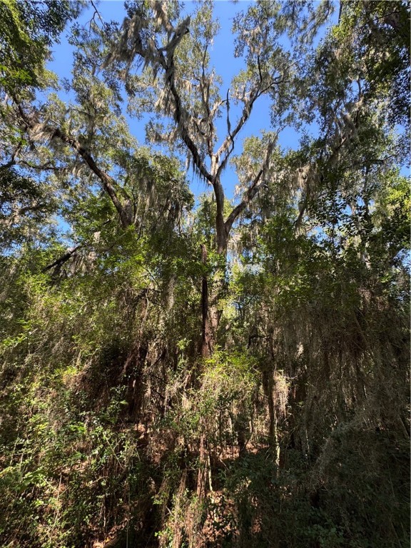 Lot 20-21 Riverside Drive Darien, GA 31305 - Photo 13 of 13