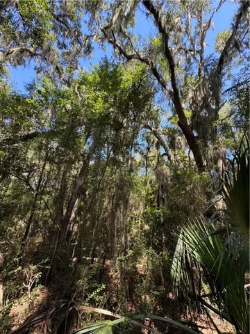 $18,500 | Lot 20-21 Riverside Drive, Darien, GA 31305