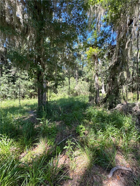 Lot 20-21 Riverside Drive Darien, GA 31305 - Photo 3 of 13