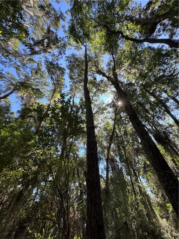 $18,500 | Lot 20-21 Riverside Drive, Darien, GA 31305