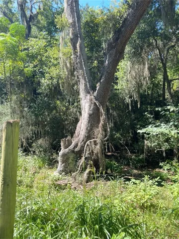 $18,500 | Lot 20-21 Riverside Drive, Darien, GA 31305