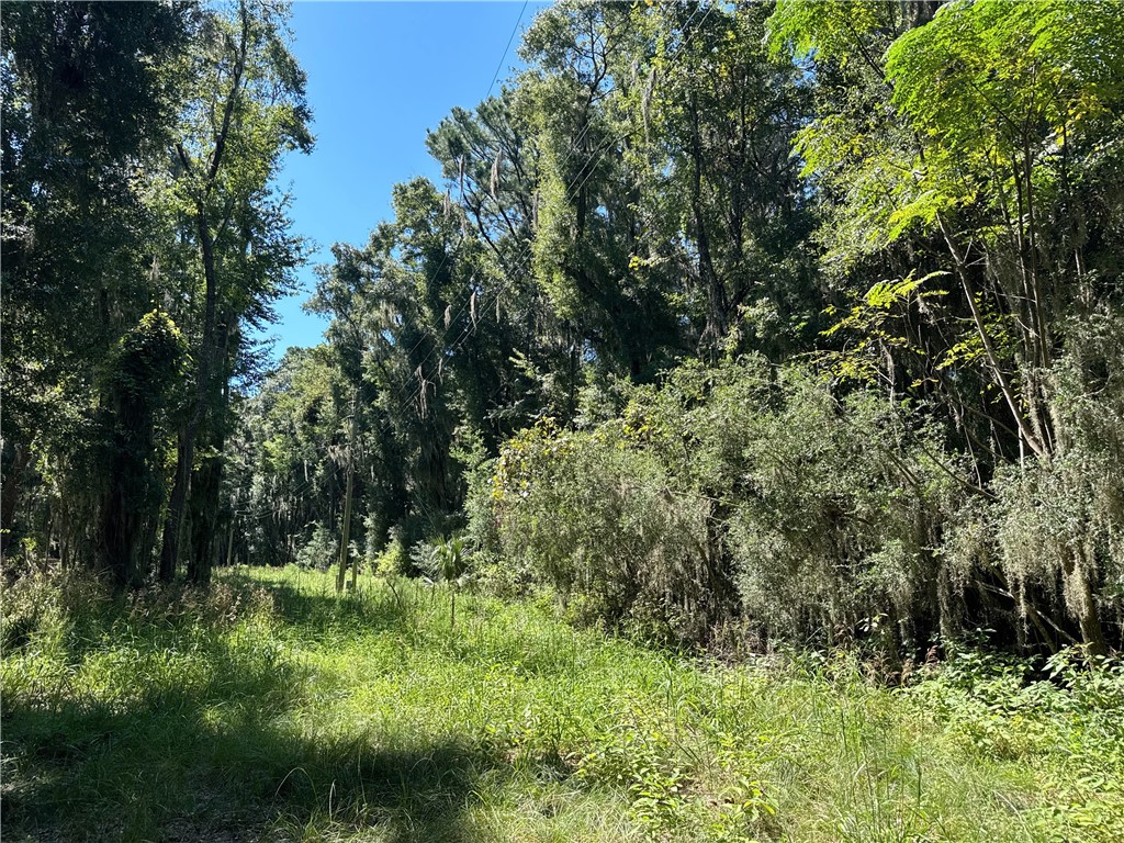 Lot 20-21 Riverside Drive Darien, GA 31305 - Photo 6 of 13