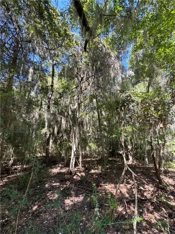$18,500 | Lot 20-21 Riverside Drive, Darien, GA 31305
