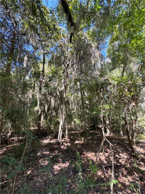 Lot 20-21 Riverside Drive Darien, GA 31305 - Photo 7 of 13