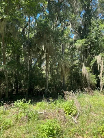$18,500 | Lot 20-21 Riverside Drive, Darien, GA 31305