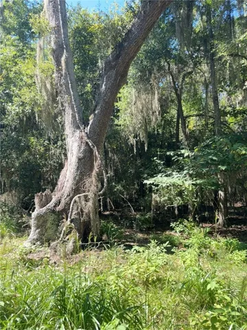 $18,500 | Lot 20-21 Riverside Drive, Darien, GA 31305