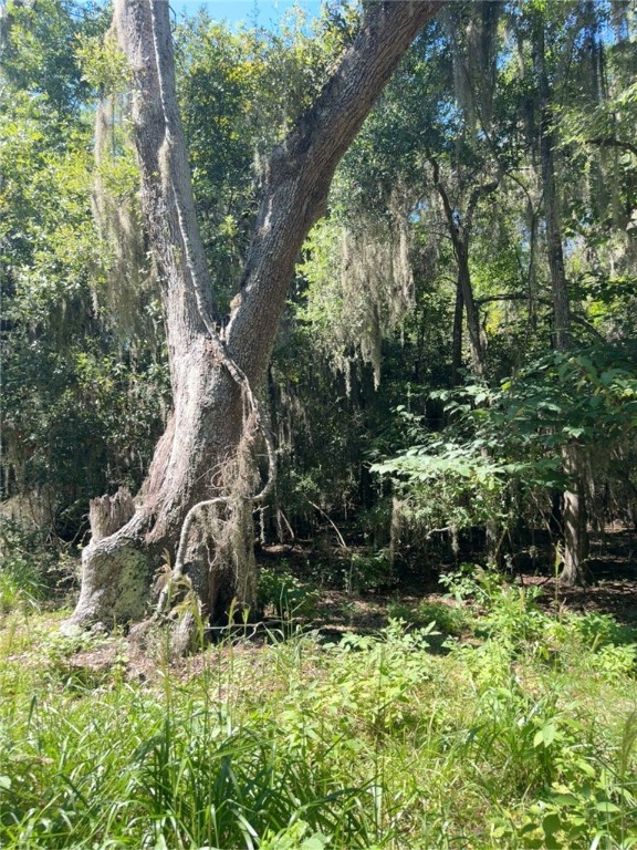 Lot 20-21 Riverside Drive Darien, GA 31305 - Photo 9 of 13