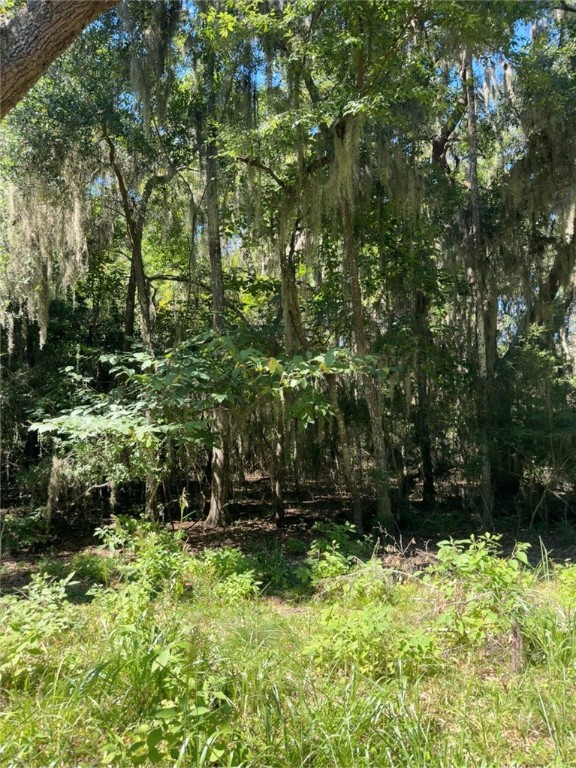 Lot 20-21 Riverside Drive Darien, GA 31305 - Photo 10 of 13