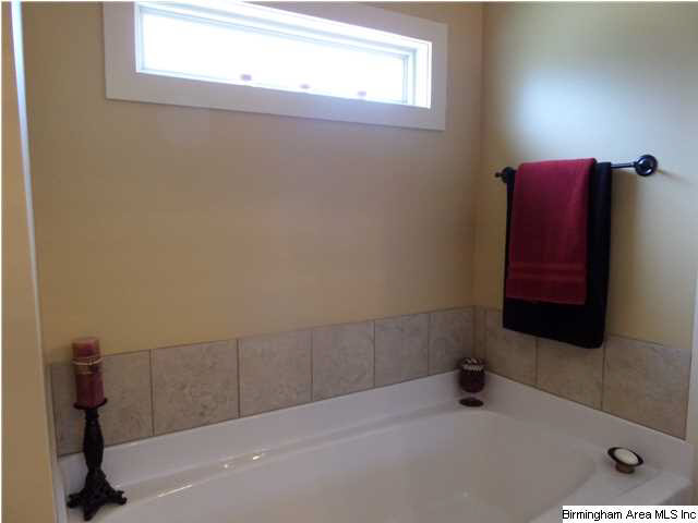 781 Dunster Circle Morris, AL 35116 - Photo 19 of 27