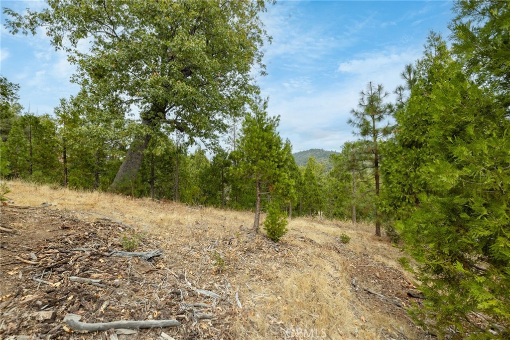 26 Timberview Road North Fork, CA 93643 - Photo 47 of 60