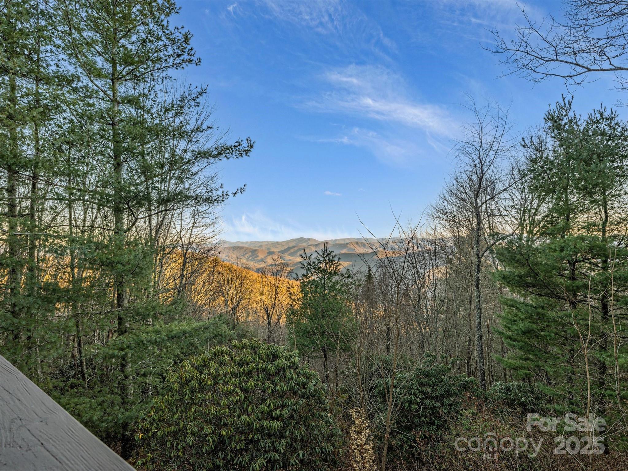 135 Grouse Point Road Maggie Valley, NC 28751 - Photo 5 of 48 a view of a yard