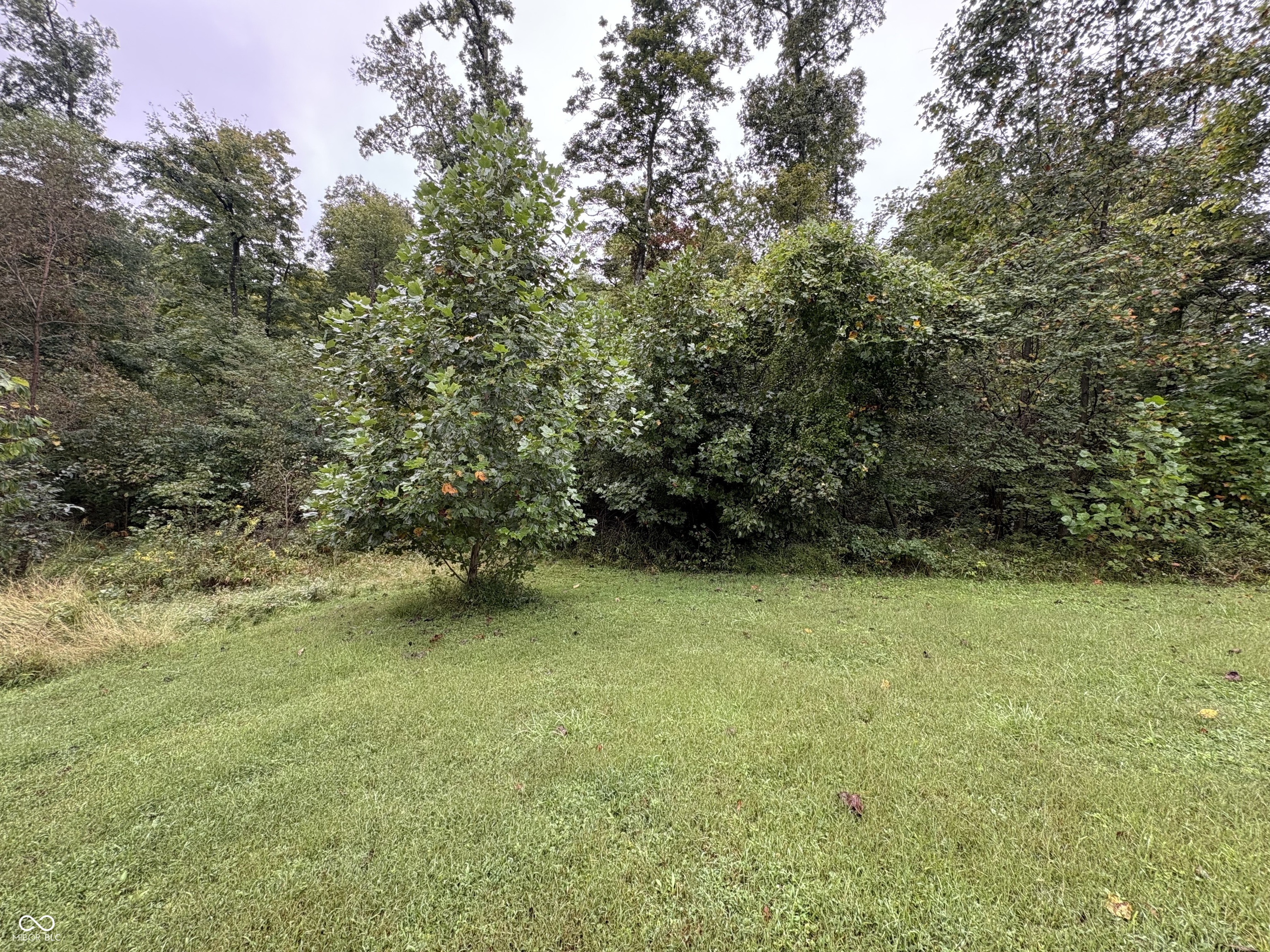 7202 Locust Lake Road Spencer, IN 47460 - Photo 5 of 37 Gallery Image 5