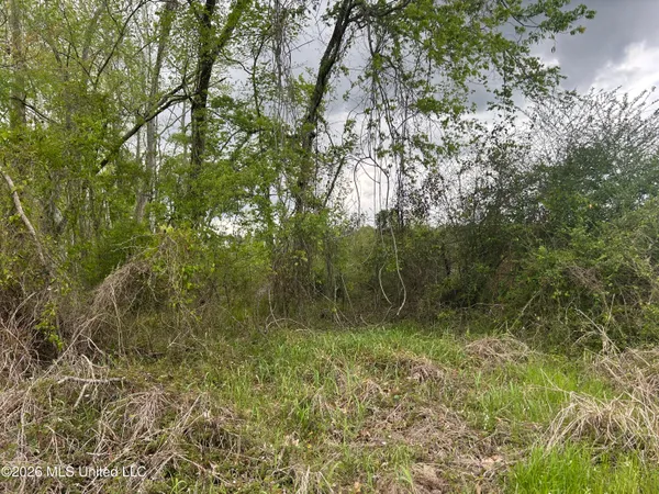 $100,000 | 184 Highway Silver Creek, Silver Creek, MS 39663