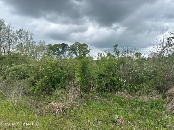 $100,000 | 184 Highway Silver Creek, Silver Creek, MS 39663