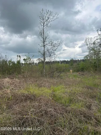 $100,000 | 184 Highway Silver Creek, Silver Creek, MS 39663