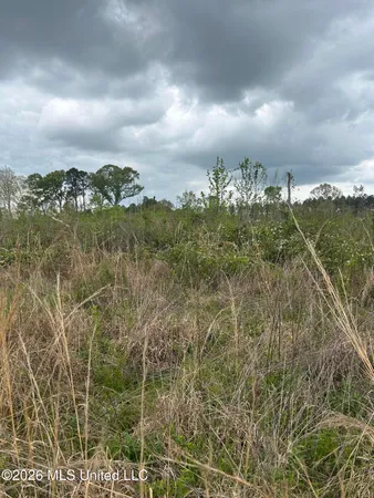 $100,000 | 184 Highway Silver Creek, Silver Creek, MS 39663