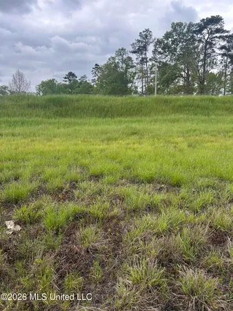 $100,000 | 184 Highway Silver Creek, Silver Creek, MS 39663