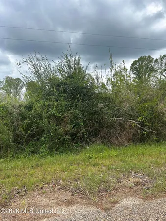 $100,000 | 184 Highway Silver Creek, Silver Creek, MS 39663