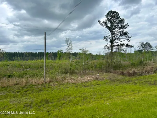 $100,000 | 184 Highway Silver Creek, Silver Creek, MS 39663