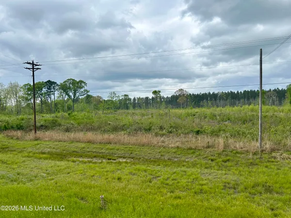 $100,000 | 184 Highway Silver Creek, Silver Creek, MS 39663