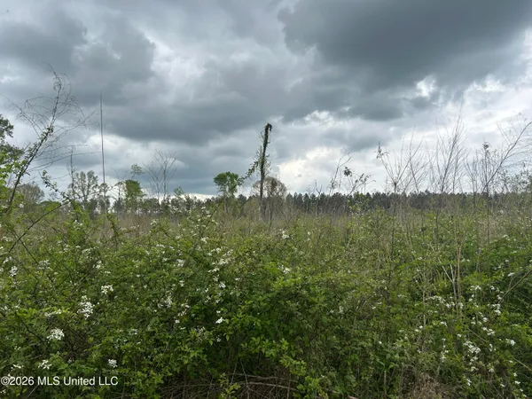$100,000 | 184 Highway Silver Creek, Silver Creek, MS 39663