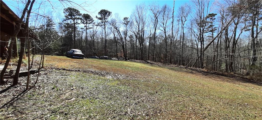 11953 Henderson Mountain Road Fairmount, GA 30139 - Photo 15 of 46 a backyard of a house with lots of green space