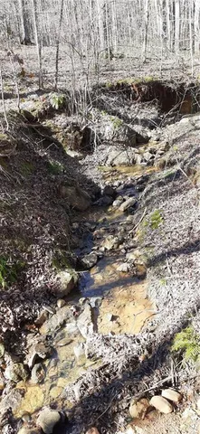 a backyard of a house
