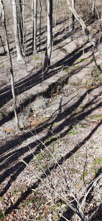 11953 Henderson Mountain Road Fairmount, GA 30139 - Photo 26 of 46